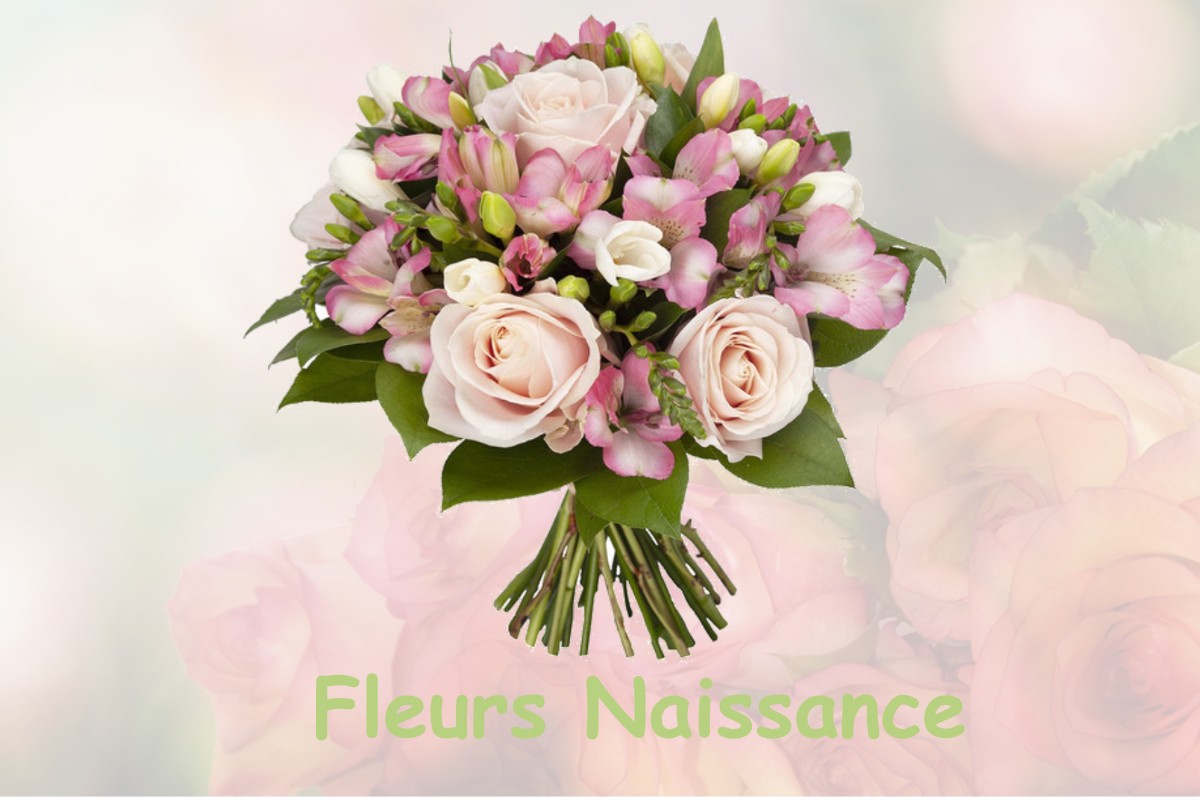 fleurs naissance IVREY