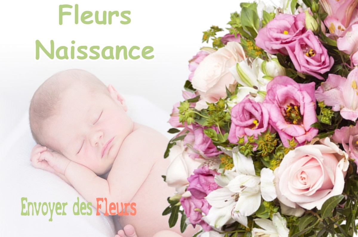 lIVRAISON FLEURS NAISSANCE à IVREY